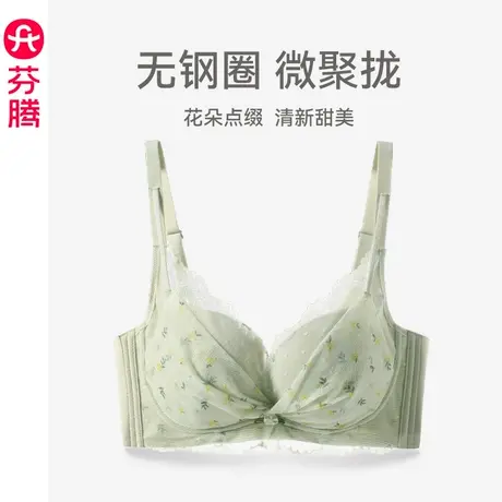 芬腾女士内衣上托防下垂无钢圈蕾丝性感聚拢文胸舒适透气网纱胸罩图片