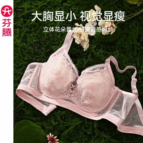 芬腾女士内衣大胸显小上托防下垂文胸性感蕾丝记忆钛圈收副乳胸罩图片