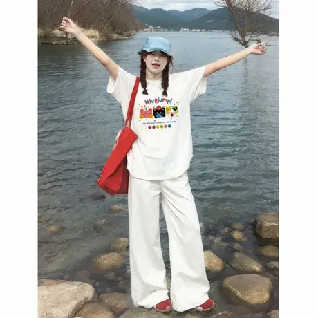 白色短袖t恤女2025新款爆款夏季纯棉半袖气质小众不撞款可爱上衣图片