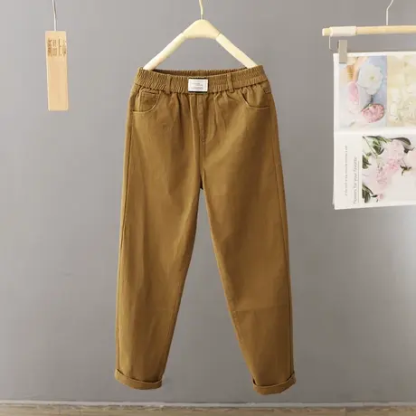 高腰工装裤女秋季百搭宽松小脚萝卜裤哈伦老爹裤2024年新款潮女厚图片