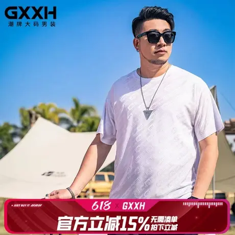 GxxH大码男装夏季冰丝短袖T恤男士休闲宽松圆领半袖斜纹速干上衣商品大图