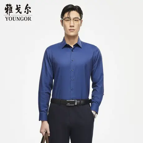 【DP免烫】D系雅戈尔衬衫秋季商务休闲纯棉免烫柔软修身长袖衬衫商品大图