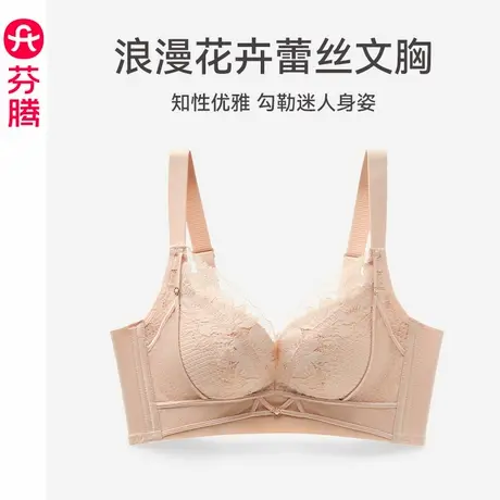 芬腾内衣女聚拢上托防下垂文胸性感蕾丝透气女款收副乳无钢圈胸罩图片