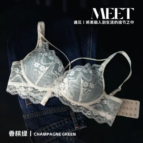 法式蕾丝内衣女小胸聚拢显大上托收副乳防下垂无钢圈2025款文胸罩商品大图