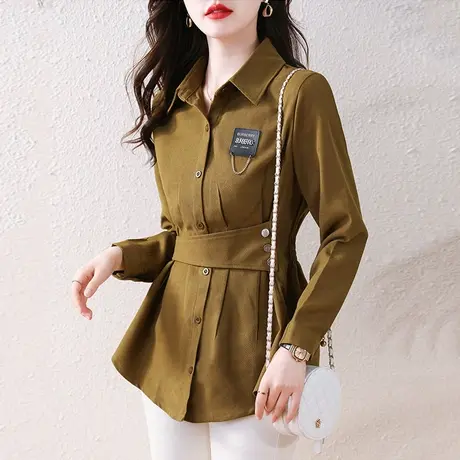 时尚气质高级感长袖衬衫女2023秋季新款设计感小众衬衣收腰显瘦衫商品大图
