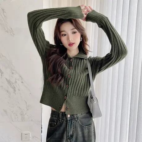 唐狮秋冬季女毛衣显瘦翻领小开衫短款简约高级修身显身材tu商品大图