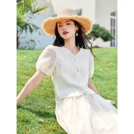 时尚气质V领短袖衬衫2023年夏季新款淑女温柔刺绣显瘦通勤上衣商品大图
