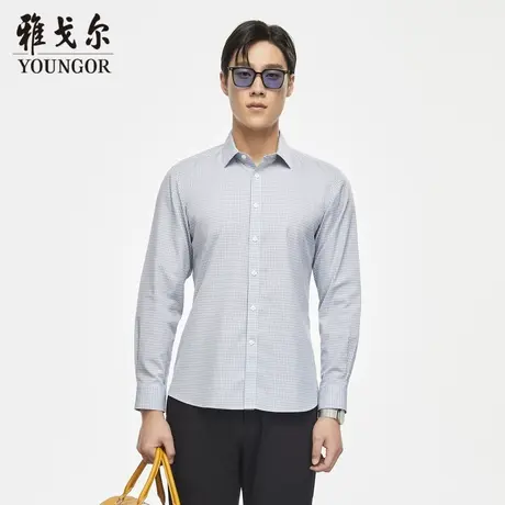 【格纹DP免烫】D系雅戈尔衬衫秋季商务休闲通勤纯棉长袖衬衫商品大图