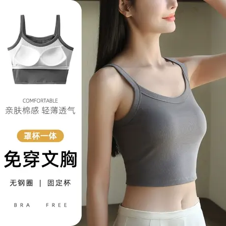 带胸垫吊带背心女内搭文胸一体纯棉美背抹胸夏季打底上衣可外穿图片