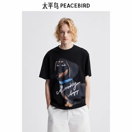 太平鸟男装 爱宠大机密联名印花短袖T恤潮B1CNE2147图片