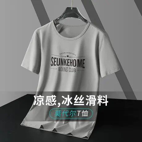 莫代尔冰丝t恤男士短袖速干凉感圆领上衣服潮流字母印花半袖体恤商品大图