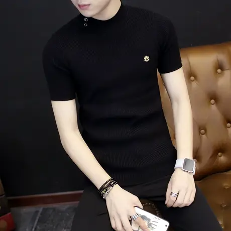 男士针织半袖T恤春秋季半高领男装打底衫2025新款帅气男装上衣服商品大图
