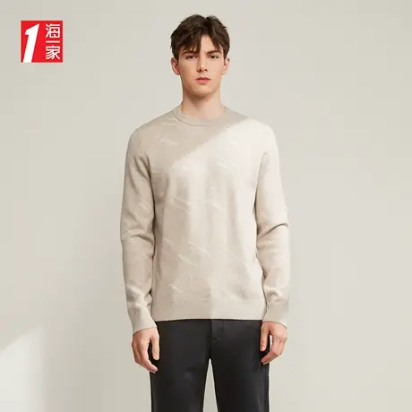 海一家修身薄款毛衣2023秋季新款简约花纹舒适圆领男士长袖针织衫商品大图