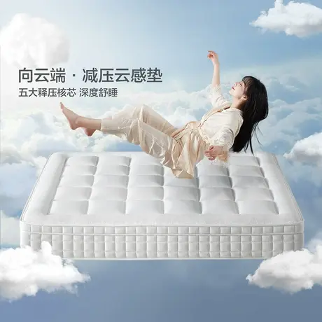 政府补贴全友家私乳胶床垫五区独袋弹簧床垫软硬两面云感舒适床垫商品大图
