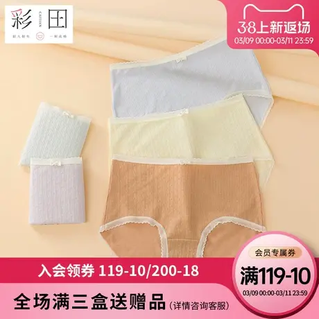 彩田内裤夏季新款棉莫混纺纯色提花中高腰蝴蝶结抗菌裆女士三角裤图片