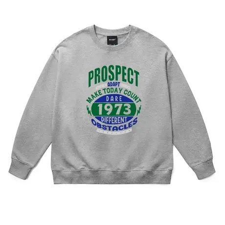 运动风青少年潮牌卫衣男女款休闲宽松时尚百搭多色纯棉针织套头衫商品大图