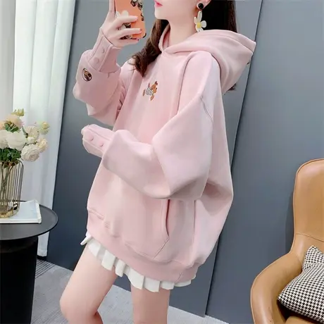 卡通刺绣加绒加厚连帽卫衣女秋冬新款宽松洋气减龄百搭设计感上衣商品大图