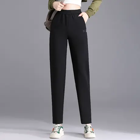 休闲松紧腰哈伦裤女2023秋季新款显高显瘦通勤百搭时尚洋气九分裤商品大图