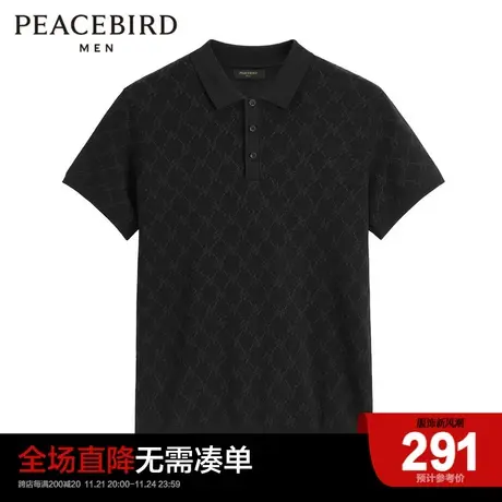 太平鸟男装 新款线衫POLO衫休闲时尚男B1EEC2327图片