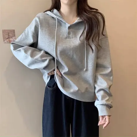 银狐绒卫衣女2024新款爆款春秋冬季加绒加厚长袖上衣连帽宽松外套商品大图