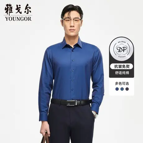 雅戈尔官方男士长袖衬衫秋季新款官方商务休闲纯棉免烫修身衬衫男商品大图