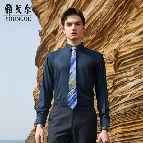 【天然纤维】V系雅戈尔衬衫秋季环保透气舒适易打理长袖衬衫图片