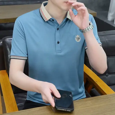 男士短袖t恤翻领纯棉夏装网眼2023潮流Polo衫冰感帅气薄款体桖ins图片