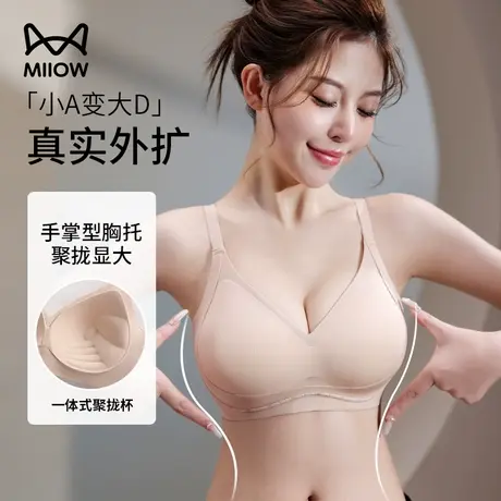 猫人外扩内衣女聚拢小胸显大收副乳防下垂薄款性感美背无痕文胸罩图片