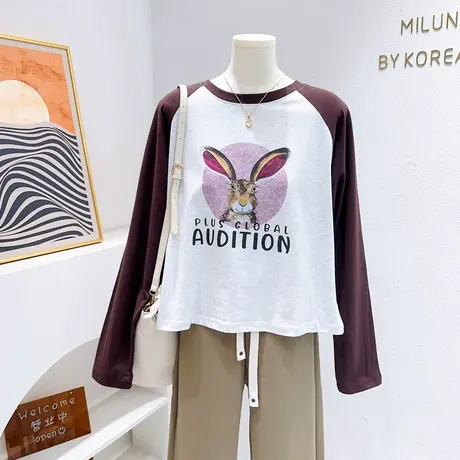 显腿长~韩代款2023秋款ins复古美式兔子长袖短款宽松上衣T恤商品大图