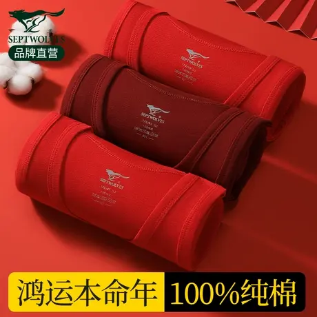七匹狼男士红色背心男款纯棉打底100%全棉青少年本命年2025老头衫商品大图