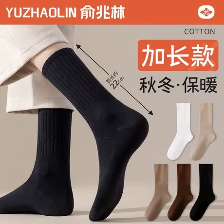 袜子女中筒袜2024秋冬季纯棉纱线无骨加厚高筒月子袜加长筒袜冬天商品大图