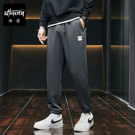 伟臣2023秋冬新品大码男装加厚休闲裤男胖子加肥加大宽松束脚长裤商品大图