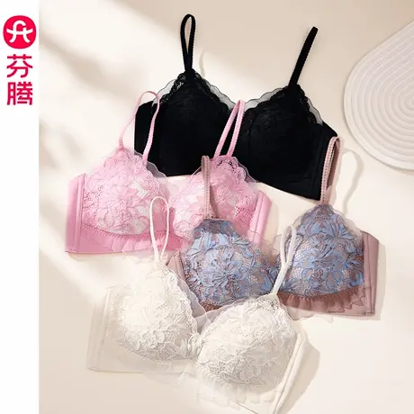 芬腾内衣女性感上托防下垂美背文胸法式蕾丝网纱收副乳无钢圈胸罩商品大图