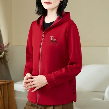 休闲连帽卫衣外套女春秋2024新款时髦宽松拉链上衣洋气百搭夹克衫商品大图