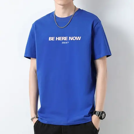 克莱因蓝重磅纯棉t恤男短袖夏季潮流宽松圆领体恤液氨长绒棉半袖商品大图