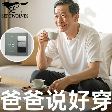 七匹狼秋季打底衫纯棉男薄内衣3件老头衫送爸爸T恤衫全棉短袖汗衫商品大图