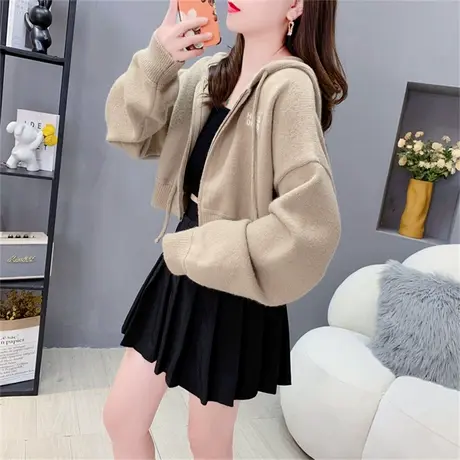 设计感短款小个子连帽针织开衫女秋冬季新款宽松高腰毛衣外套上衣商品大图