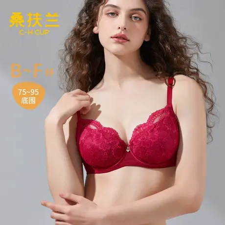 桑扶兰女士内衣法式蕾丝大胸显小防凸点2025夏薄款软钢圈性感文胸商品大图