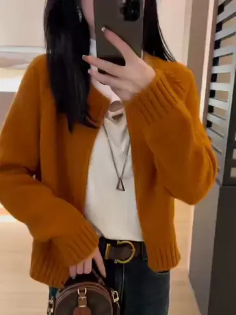 高级感拉链毛衣开衫女小个子短款秋冬新款纯色圆领针织上衣外套潮图片