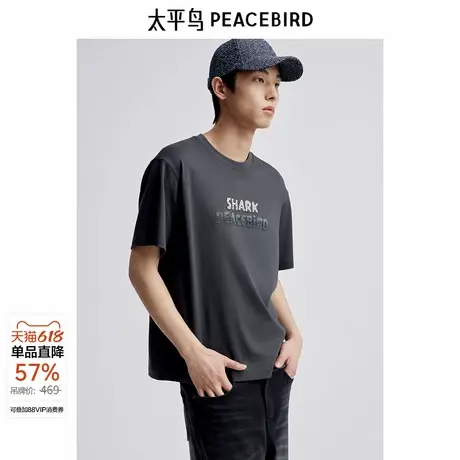 太平鸟男装 夏季新款刺绣短袖T恤男B1CNE2407商品大图
