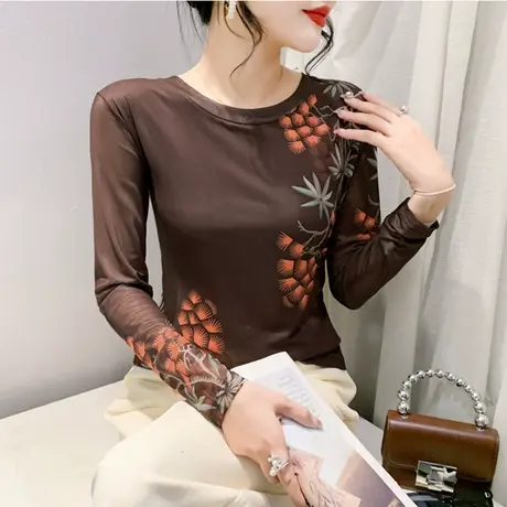 欧货女装网纱印花春装新款T恤女气质减龄长袖修身显瘦上衣打底衫商品大图