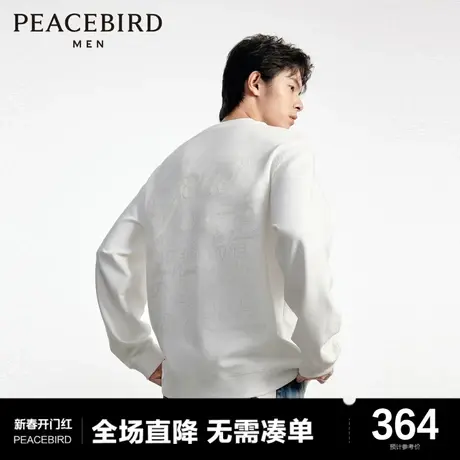 【音乐青年】太平鸟男装潮流背后刺绣圆领套头宽松卫衣B1CRD3306商品大图
