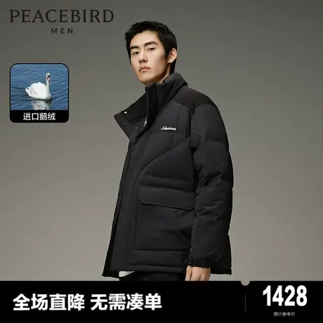 【商场同款】太平鸟男装 2023年冬季刺绣羽绒服鹅绒外套B2ACD4302商品大图