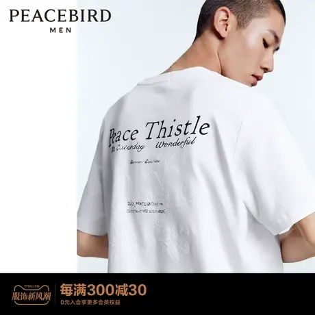 【商场同款】2023夏季新款太平鸟男装休闲T恤 B1DAD2406图片