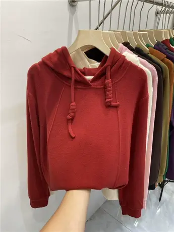 欧货连帽拼接贴标字母双面德绒卫衣女2023秋冬新款宽松长袖上衣潮商品大图