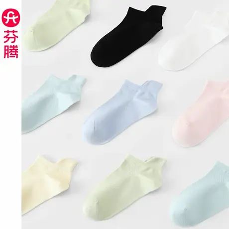 芬腾女士新款袜子夏季纯棉抗菌防臭浅口袜春秋款吸汗透气短款袜子商品大图