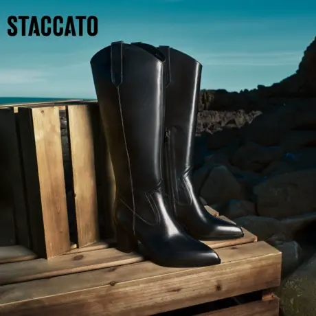 思加图冬季新款1890s粗跟西部牛仔靴加绒高筒靴女靴EQ504DG3商品大图