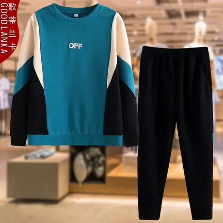 中老年女装春秋运动服套装大码宽松洋气中年妈妈时尚拼色休闲套装商品大图