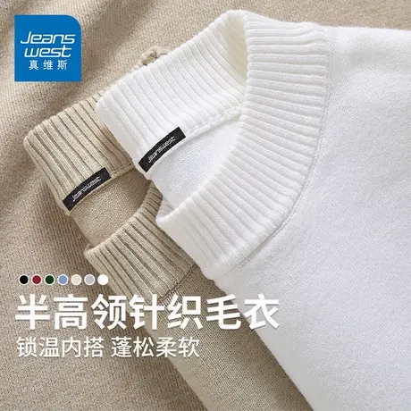 GV真维斯半高领毛衣男士秋冬季宽松内搭冬装2024新款保暖上衣服D商品大图