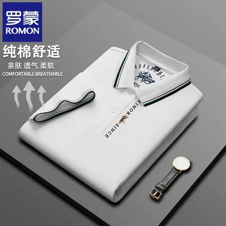 罗蒙高端刺绣纯棉男士POLO衫短袖T恤夏季薄款休闲商务翻领半袖N2Z图片